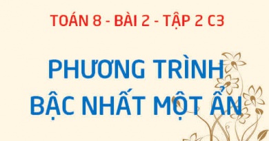 Phương trình bậc nhất một ẩn là gì? Cách giải phương trình bậc nhất một ẩn - Toán 8 bài 2 tập 2 chương 3